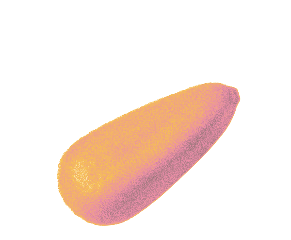 food1
