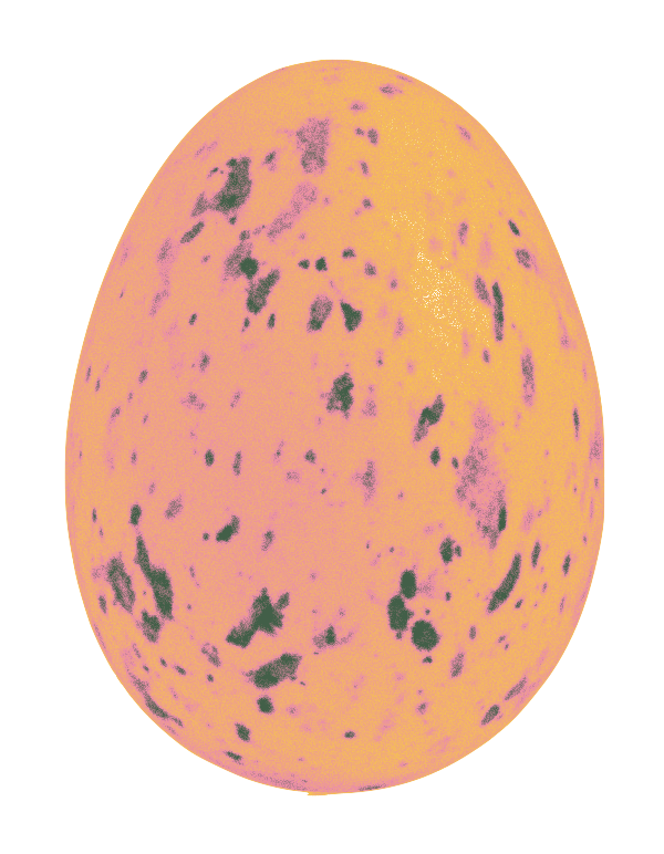 food1