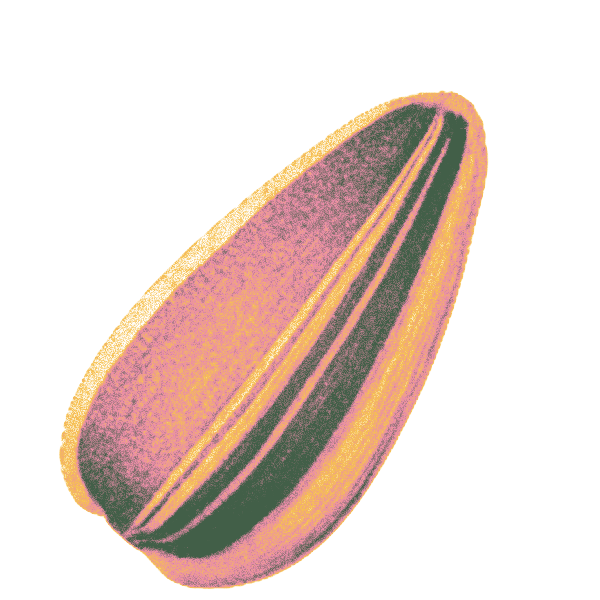 food1