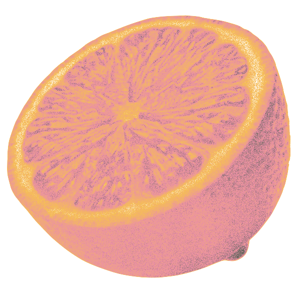 food1