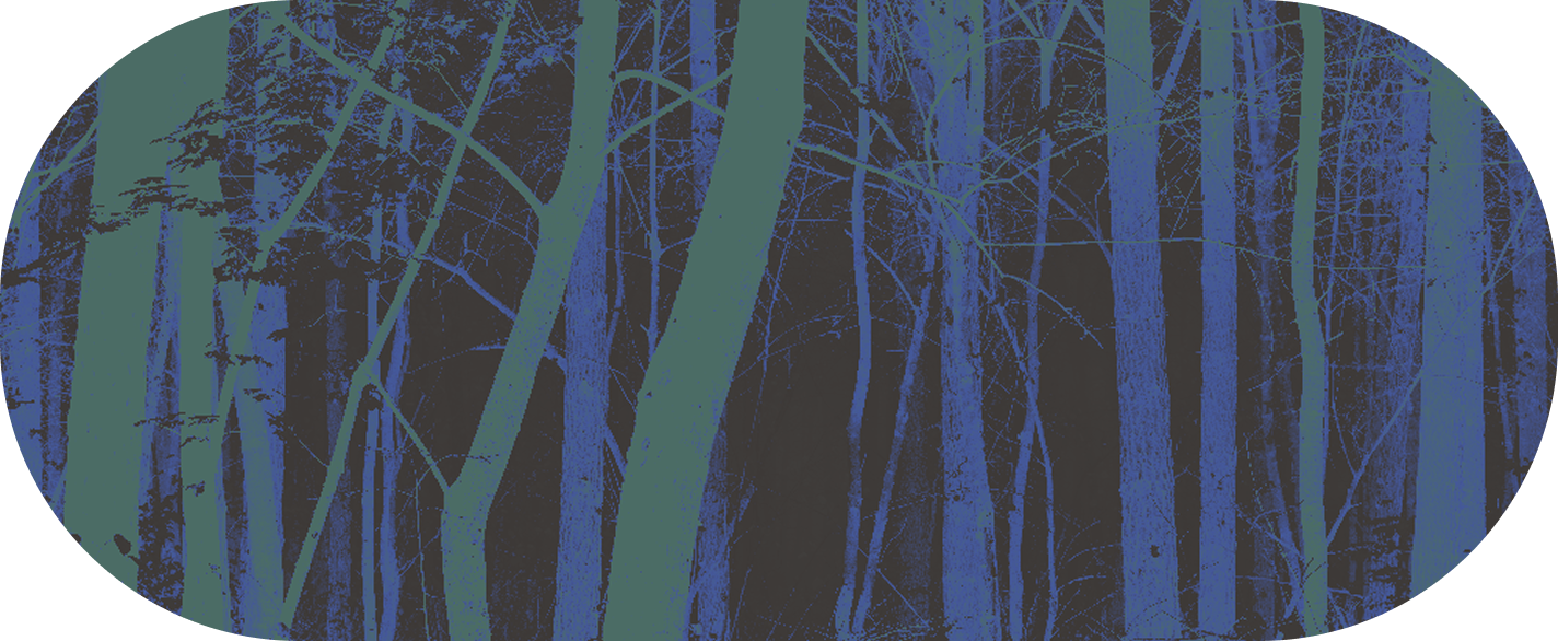 forest-dark