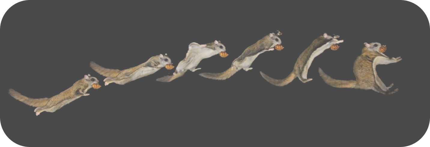 fs-sequence