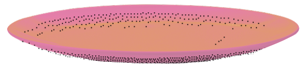 plate